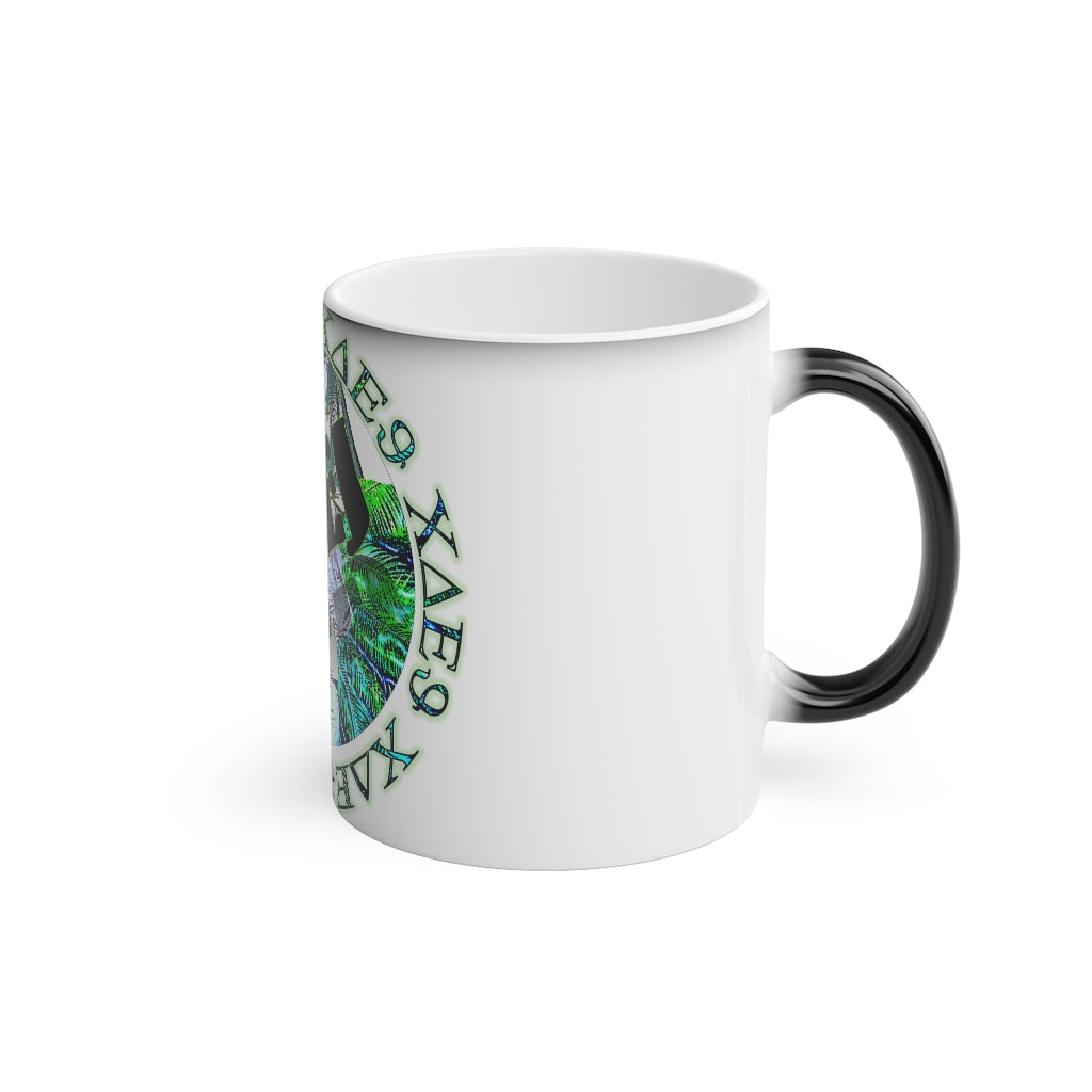 CDEJ Logo Magic Mug